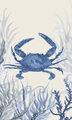 Image Not Available